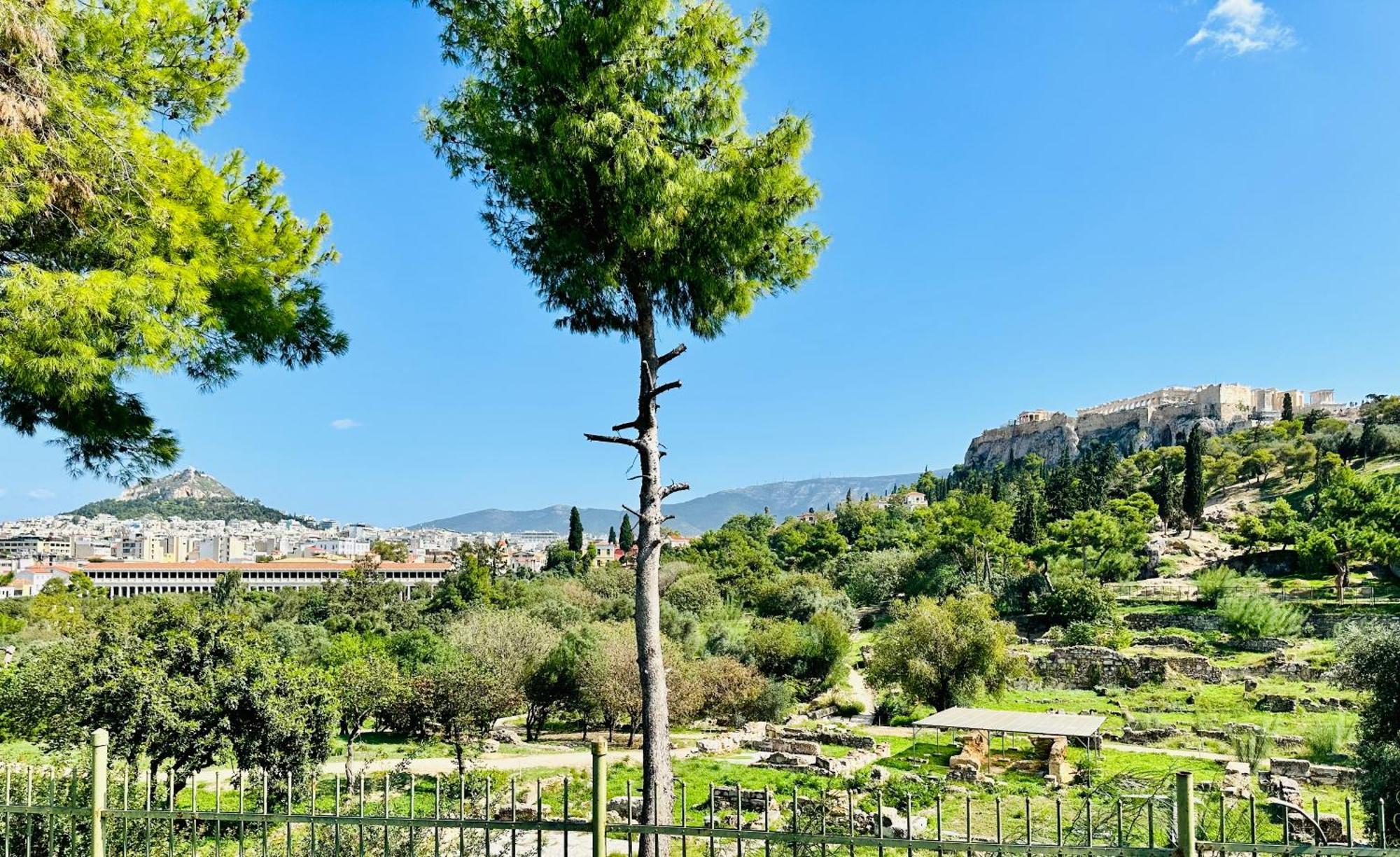 Apartment Yuna Penthouse, 100sqm Private Rooftop Terrasse, Acropolis By Foot Athens